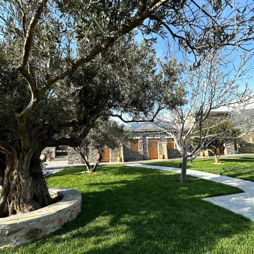 a park with a tree and a building at Peristerionas Estate in Karistos