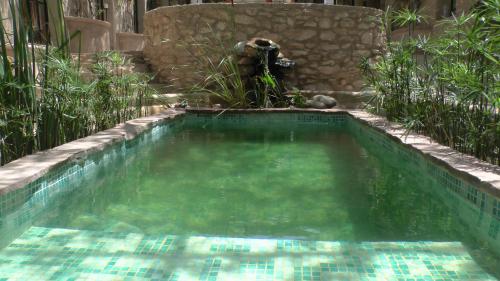 Slow Luxury at the Serai في الصويرة: حمام سباحة في حديقة مع كلب في الخلفية
