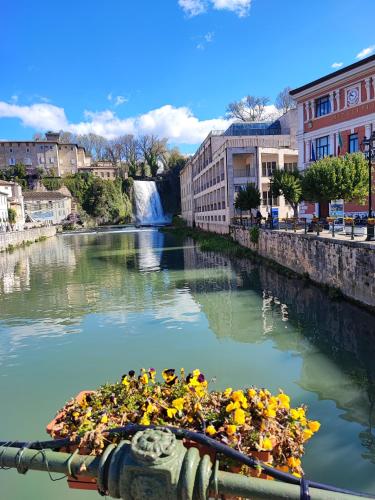 a boat filled with flowers in a river with a waterfall at IN CENTRO Rooms and Apartments in Isola del Liri