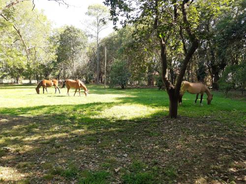 Casa de campo – Photos 4