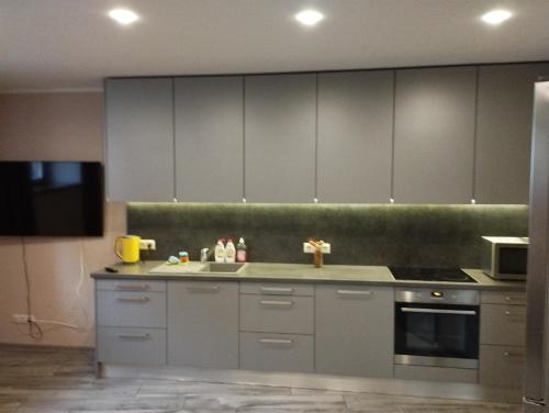 a kitchen with stainless steel cabinets and a sink at Riga,Hospitalu,3 in Rīga