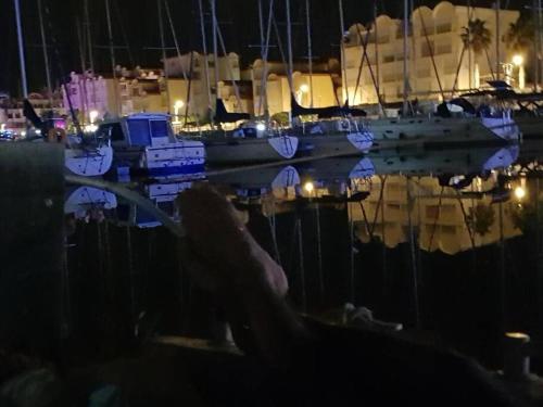 eine Gruppe von Booten, die nachts in einem Yachthafen angedockt sind in der Unterkunft super Voilier Eve in Gruissan