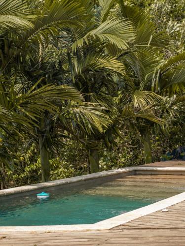 a swimming pool with palm trees in the background at All Natural Glamping in Copacabana