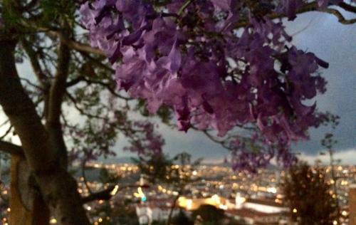 Imagen de la galería de La Casa del Cerro, en Sucre