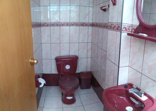 Vonios kambarys apgyvendinimo įstaigoje POSADA DEL SOL