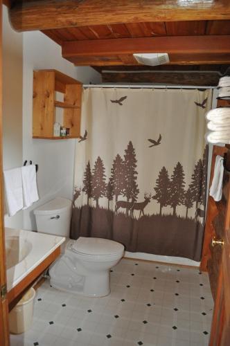 y baño con aseo y cortina de ducha. en Crooked Creek Guest Ranch en Dubois