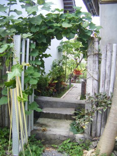 Сад в Alur Beach Homestay