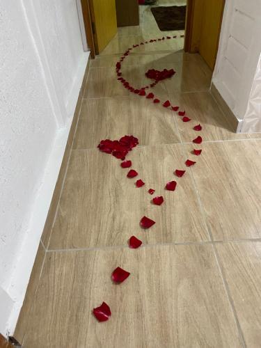 a heart of red rose petals on the floor at Quinta São Miguel in Santo Antônio do Pinhal