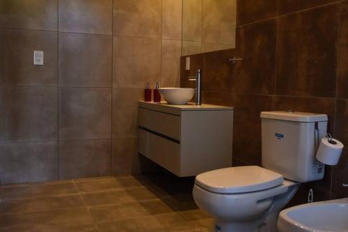 La salle de bains est pourvue de toilettes et d'un lavabo. dans l'établissement Mahuida Lodge Valle de Uco, à Colonia Las Rosas