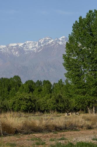 Mahuida Lodge Valle de Uco – Photos 2