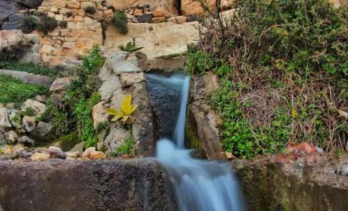 a stream of water in a garden with a waterfall at Dana Gardens Hotel in Dana