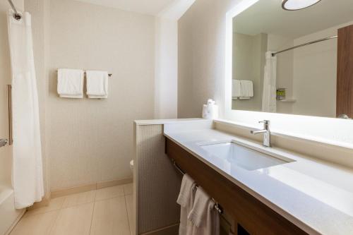 a bathroom with a sink and a mirror at Holiday Inn Express & Suites Brunswick-Harpers Ferry Area by IHG in Brunswick