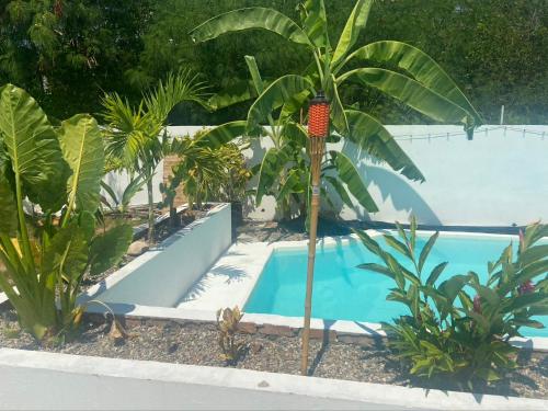 a palm tree next to a swimming pool at Apartamento independiente en casa in Girardot