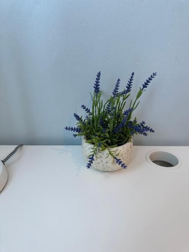 a vase with purple flowers sitting on a table at Noe Hotel One BedRoom #3 in Punta Cana