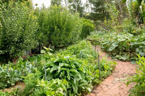 a garden with lots of vegetables and plants at Delphi, Adelaide Hills Garden BnB in Mylor