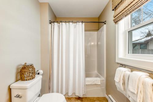 Un baño con cortina de ducha y un inodoro. en The Blue Cottage, en Minocqua