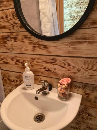 a bathroom sink with a mirror and a soap dispenser at La Padurea Mica in Cărbunari