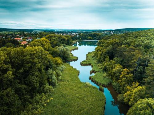 an aerial view of a river with trees at LakeLove Házikó Sopron- Erdő és tópart mellett in Sopron