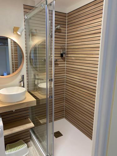 łazienka z przeszkloną kabiną prysznicową i umywalką w obiekcie La maison du bonheur les eaux vives 1 w mieście Saint Pierre La Mer