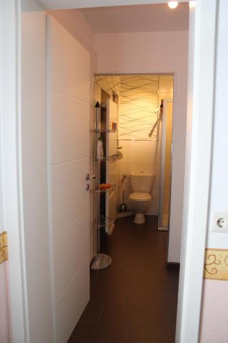 uma casa de banho com um WC e um lavatório em Ferienwohnung Athena em Pirna