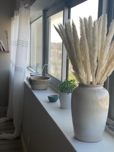 Imagen de la galería de Chez Flo, en Aviñón
