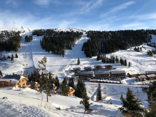 a snow covered mountain with a ski slope with houses at Sissi Park in Lachtal