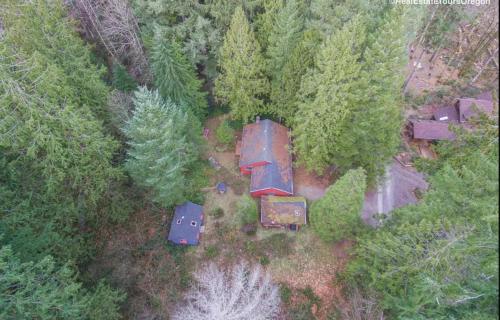 Springbrook Cabin – Photos 3