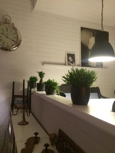 a shelf with potted plants on it with a clock at Lovely home in Inkoo by the sea in Inkoo