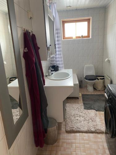 La salle de bains est pourvue d'un lavabo et de toilettes. dans l'établissement Lovely home in Inkoo by the sea, à Inkoo