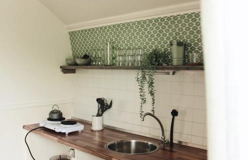 - une cuisine avec un évier et un comptoir dans l'établissement CoCon, à Scharendijke