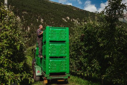 Paesaggio naturale nelle vicinanze dell'appartamento