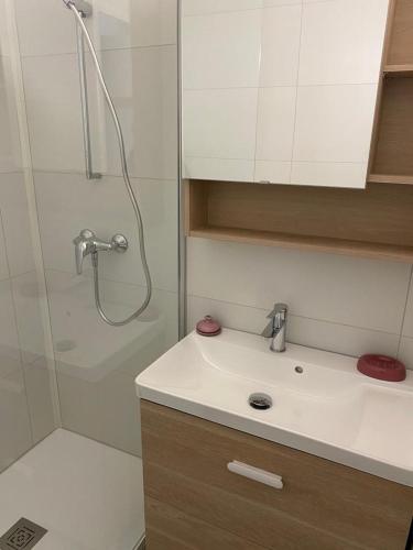 une salle de bain avec une douche et un lavabo et une douche dans l'établissement Superbe logement en bord de mer, au Cap d'Agde