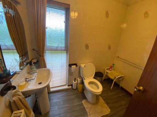 uma casa de banho com um WC e um lavatório em Shalom bungalow Falcarragh Mountain View em Falcarragh