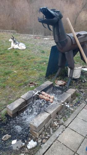 a dog laying on the grass next to a fire with a statue at Садиба в Бабаєво in Perechin