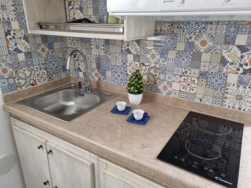 a kitchen counter with a sink and a potted plant at SUITE AGATA in Gallipoli