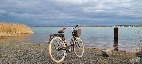a bike parked on the shore of a lake at See ums Eck Moderne Fewo am Hainer See in Neukieritzsch