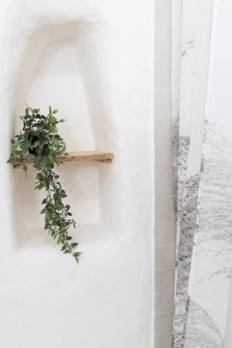 a bathroom with a plant on a white wall at Hiša Borov Gaj in Mojstrana