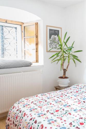 a bedroom with a bed and a potted plant at Hiša Borov Gaj in Mojstrana