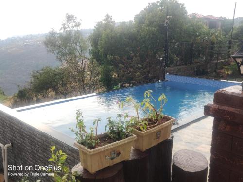 a swimming pool with two potted plants on a balcony at Eleson Cliffside Retreat in Panchgani
