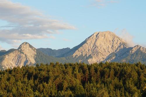 a group of mountains with trees in the foreground at Ferienwohnung Karasek Deluxe in Sattendorf