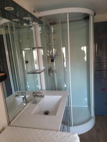 een badkamer met een wastafel en een douche bij La maison des vignes in Clairvaux-dʼAveyron