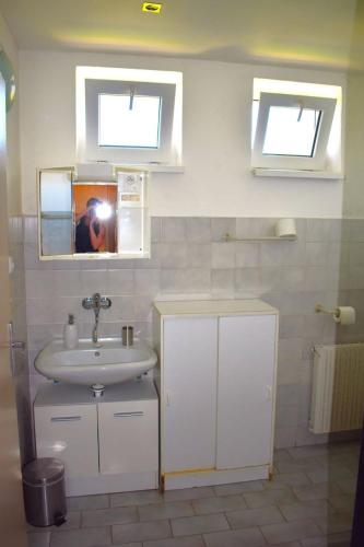 a bathroom with a sink and a person taking a picture at Penzion Era in Zlín
