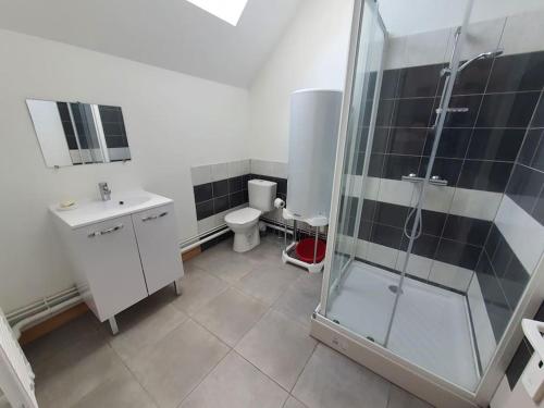a bathroom with a shower and a sink and a toilet at Appartement 4 personnes proche gare et hôpital in Saint-Amand-Montrond