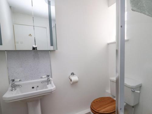 a white bathroom with a sink and a toilet at Salmon Cottage in Llanwrthwl
