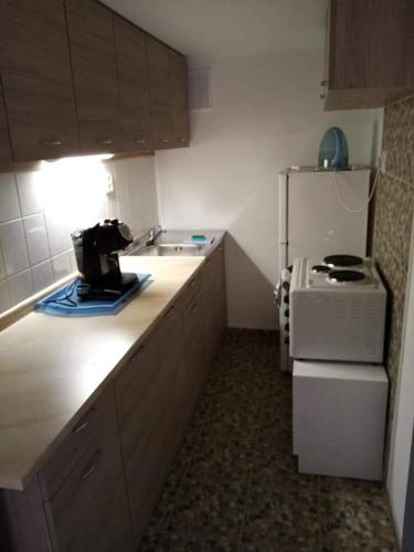 a small kitchen with a sink and a refrigerator at Chata Tibor Skarba JAHODNA in Jahodná