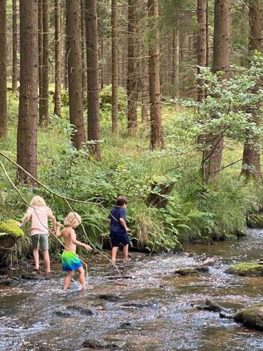 three children are crossing a stream in a forest at Landhaus im Waldviertel in Zwettl Stadt