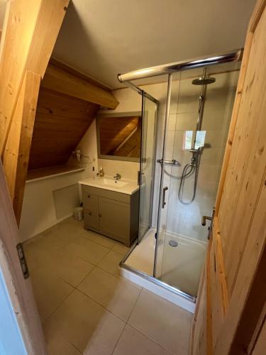 y baño con ducha y lavamanos. en Chalet des Monts Dore, en Chastreix