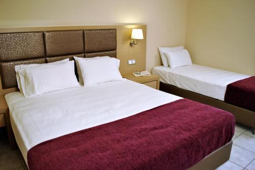 Φωτογραφία από το άλμπουμ του Hotel Plessas Palace στον Αλυκανά