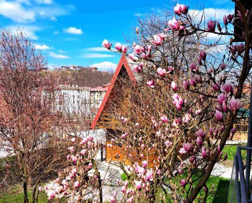 a tree with pink flowers in front of a building at Sarajevo Chalet in Hadžići