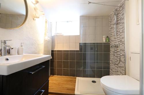uma casa de banho com um lavatório, um WC e um chuveiro em La petite Maison de Gordes 2 nuits minimum em Gordes